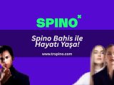 spino bahis ile hayati yasa